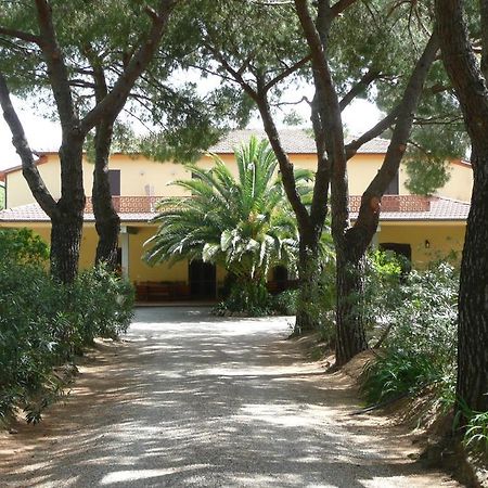 Podere Oslavia Az.Agr.Bio Giannini Alberese Dış mekan fotoğraf