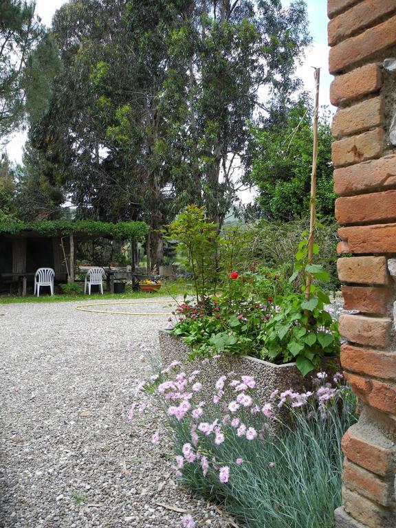 Podere Oslavia Az.Agr.Bio Giannini Alberese Dış mekan fotoğraf