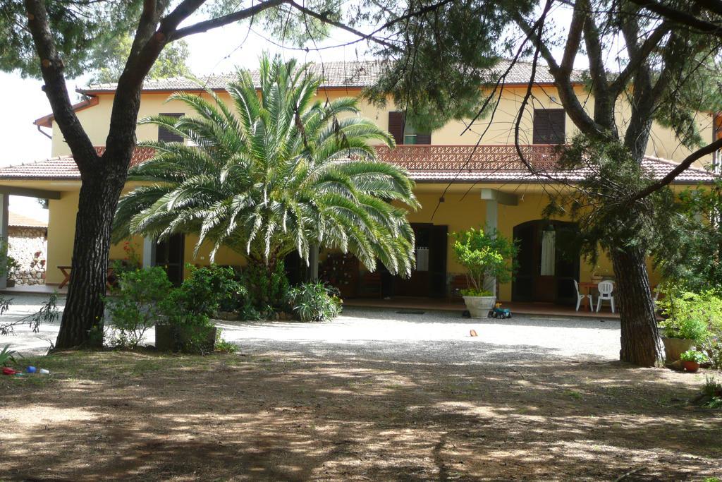 Podere Oslavia Az.Agr.Bio Giannini Alberese Dış mekan fotoğraf